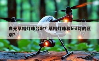 白光草帽灯珠台宏？草帽灯珠和led灯的区别？