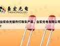台宏白光插件灯珠生产商，台宏光电有限公司？
