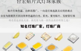 知名灯珠厂家，灯珠厂商