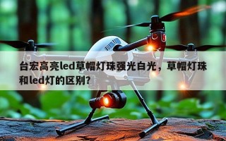 台宏高亮led草帽灯珠强光白光，草帽灯珠和led灯的区别？