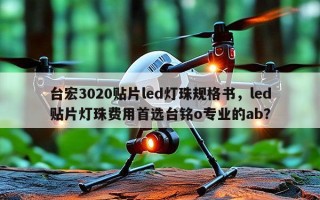 台宏3020贴片led灯珠规格书，led贴片灯珠费用首选台铭o专业的ab？