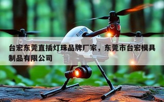 台宏东莞直插灯珠品牌厂家，东莞市台宏模具制品有限公司