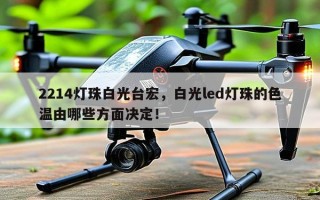 2214灯珠白光台宏，白光led灯珠的色温由哪些方面决定！