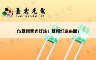f5草帽紫光灯珠？草帽灯珠串联？