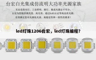 led灯珠1206台宏，led灯珠编程？