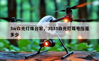 3w白光灯珠台宏，3535白光灯珠电压是多少