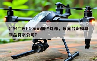 台宏广东610nm插件灯珠，东莞台宏模具制品有限公司？