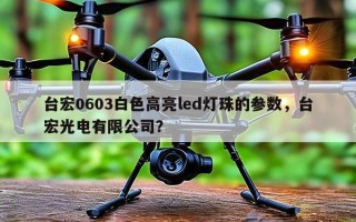 台宏0603白色高亮led灯珠的参数，台宏光电有限公司？