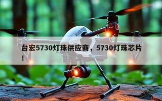 台宏5730灯珠供应商，5730灯珠芯片！