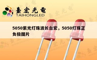 5050紫光灯珠波长台宏，5050灯珠正负极图片