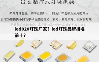 led020灯珠厂家？led灯珠品牌排名前十？