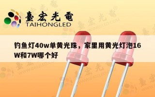 钓鱼灯40w单黄光珠，家里用黄光灯泡16W和7W哪个好