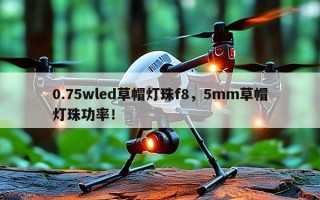 0.75wled草帽灯珠f8，5mm草帽灯珠功率！