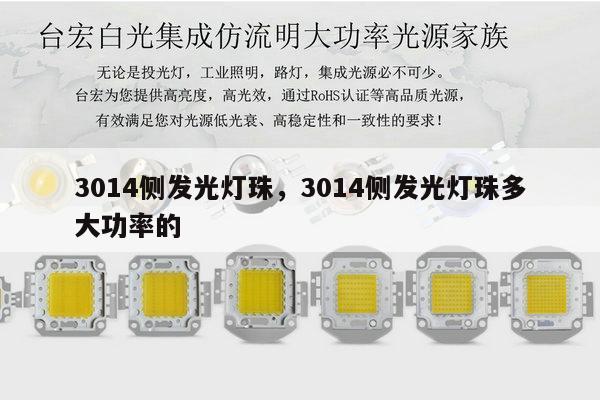 3014侧发光灯珠,3014侧发光灯珠多大功率的-第1张图片-led灯珠, 贴片led灯珠, 直插led灯珠, 大功率灯珠, 3528灯珠, led灯珠厂家广东台宏光电科技有限公司 服务热线400-689-8189 3014侧发光灯珠,3014侧发光灯珠多大功率的-第1张图片-led灯珠, 贴片led灯珠, 直插led灯珠, 大功率灯珠, 3528灯珠, led灯珠厂家广东台宏光电科技有限公司 服务热线400-689-8189