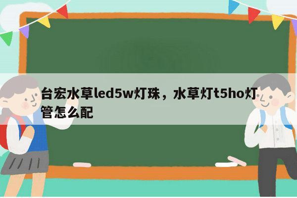 台宏水草led5w灯珠,水草灯t5ho灯管怎么配-第1张图片-led灯珠, 贴片led灯珠, 直插led灯珠, 大功率灯珠, 3528灯珠, led灯珠厂家广东台宏光电科技有限公司 服务热线400-689-8189 台宏水草led5w灯珠,水草灯t5ho灯管怎么配-第1张图片-led灯珠, 贴片led灯珠, 直插led灯珠, 大功率灯珠, 3528灯珠, led灯珠厂家广东台宏光电科技有限公司 服务热线400-689-8189