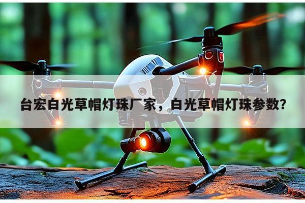 台宏白光草帽灯珠厂家，白光草帽灯珠参数？-第1张图片-led灯珠, 贴片led灯珠, 直插led灯珠, 大功率灯珠, 3528灯珠, led灯珠厂家广东台宏光电科技有限公司 服务热线400-689-8189