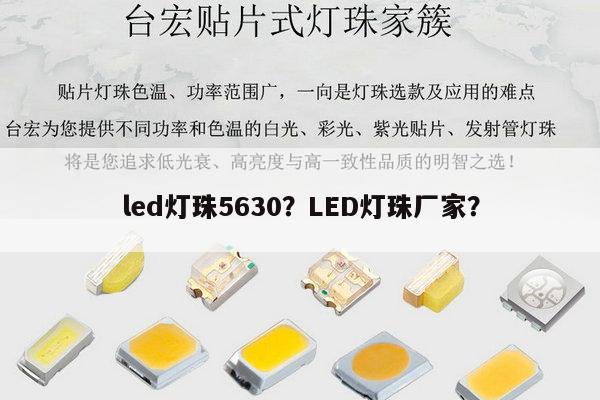 led灯珠5630?LED灯珠厂家?-第1张图片-led灯珠, 贴片led灯珠, 直插led灯珠, 大功率灯珠, 3528灯珠, led灯珠厂家广东台宏光电科技有限公司 服务热线400-689-8189 led灯珠5630?LED灯珠厂家?-第1张图片-led灯珠, 贴片led灯珠, 直插led灯珠, 大功率灯珠, 3528灯珠, led灯珠厂家广东台宏光电科技有限公司 服务热线400-689-8189