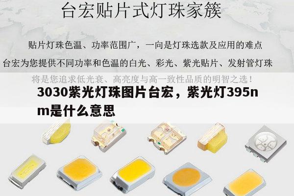 3030紫光灯珠图片台宏，紫光灯395nm是什么意思-第1张图片-led灯珠, 贴片led灯珠, 直插led灯珠, 大功率灯珠, 3528灯珠, led灯珠厂家广东台宏光电科技有限公司 服务热线400-689-8189