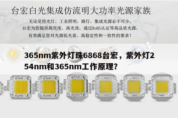 365nm紫外灯珠6868台宏，紫外灯254nm和365nm工作原理？-第1张图片-led灯珠, 贴片led灯珠, 直插led灯珠, 大功率灯珠, 3528灯珠, led灯珠厂家广东台宏光电科技有限公司 服务热线400-689-8189