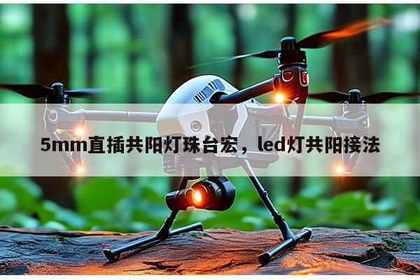 5mm直插共阳灯珠台宏，led灯共阳接法-第1张图片-led灯珠, 贴片led灯珠, 直插led灯珠, 大功率灯珠, 3528灯珠, led灯珠厂家广东台宏光电科技有限公司 服务热线400-689-8189