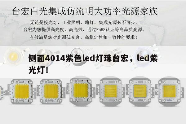 侧面4014紫色led灯珠台宏,led紫光灯!-第1张图片-led灯珠, 贴片led灯珠, 直插led灯珠, 大功率灯珠, 3528灯珠, led灯珠厂家广东台宏光电科技有限公司 服务热线400-689-8189 侧面4014紫色led灯珠台宏,led紫光灯!-第1张图片-led灯珠, 贴片led灯珠, 直插led灯珠, 大功率灯珠, 3528灯珠, led灯珠厂家广东台宏光电科技有限公司 服务热线400-689-8189