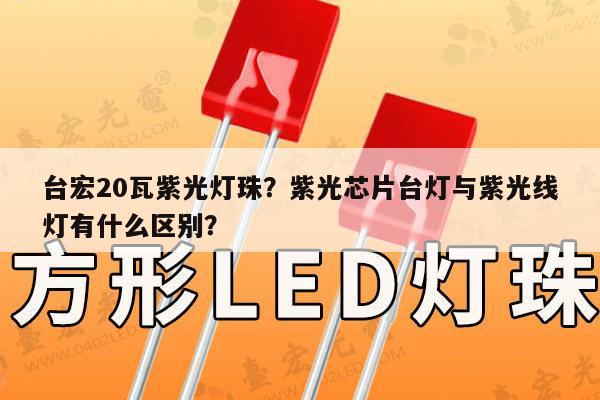 台宏20瓦紫光灯珠？紫光芯片台灯与紫光线灯有什么区别？-第1张图片-led灯珠, 贴片led灯珠, 直插led灯珠, 大功率灯珠, 3528灯珠, led灯珠厂家广东台宏光电科技有限公司 服务热线400-689-8189