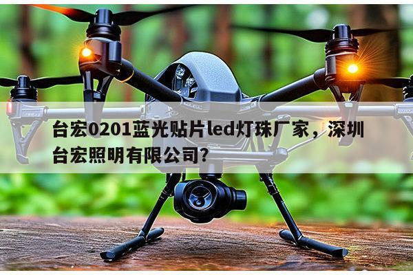 台宏0201蓝光贴片led灯珠厂家，深圳台宏照明有限公司？-第1张图片-led灯珠, 贴片led灯珠, 直插led灯珠, 大功率灯珠, 3528灯珠, led灯珠厂家广东台宏光电科技有限公司 服务热线400-689-8189