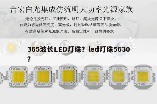 365波长LED灯珠?led灯珠5630?-第1张图片-led灯珠, 贴片led灯珠, 直插led灯珠, 大功率灯珠, 3528灯珠, led灯珠厂家广东台宏光电科技有限公司 服务热线400-689-8189 365波长LED灯珠?led灯珠5630?-第1张图片-led灯珠, 贴片led灯珠, 直插led灯珠, 大功率灯珠, 3528灯珠, led灯珠厂家广东台宏光电科技有限公司 服务热线400-689-8189