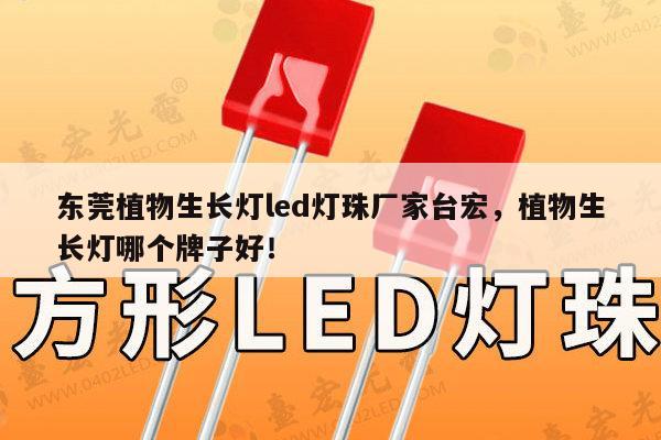 东莞植物生长灯led灯珠厂家台宏,植物生长灯哪个牌子好!-第1张图片-led灯珠, 贴片led灯珠, 直插led灯珠, 大功率灯珠, 3528灯珠, led灯珠厂家广东台宏光电科技有限公司 服务热线400-689-8189 东莞植物生长灯led灯珠厂家台宏,植物生长灯哪个牌子好!-第1张图片-led灯珠, 贴片led灯珠, 直插led灯珠, 大功率灯珠, 3528灯珠, led灯珠厂家广东台宏光电科技有限公司 服务热线400-689-8189
