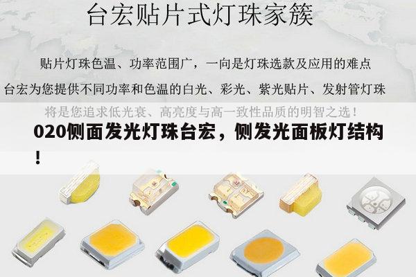 020侧面发光灯珠台宏，侧发光面板灯结构！-第1张图片-led灯珠, 贴片led灯珠, 直插led灯珠, 大功率灯珠, 3528灯珠, led灯珠厂家广东台宏光电科技有限公司 服务热线400-689-8189