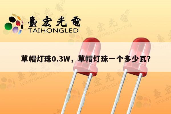 草帽灯珠0.3W，草帽灯珠一个多少瓦？-第1张图片-led灯珠, 贴片led灯珠, 直插led灯珠, 大功率灯珠, 3528灯珠, led灯珠厂家广东台宏光电科技有限公司 服务热线400-689-8189