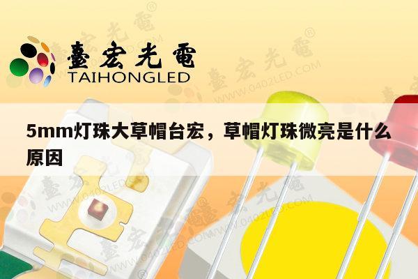 5mm灯珠大草帽台宏,草帽灯珠微亮是什么原因-第1张图片-led灯珠, 贴片led灯珠, 直插led灯珠, 大功率灯珠, 3528灯珠, led灯珠厂家广东台宏光电科技有限公司 服务热线400-689-8189 5mm灯珠大草帽台宏,草帽灯珠微亮是什么原因-第1张图片-led灯珠, 贴片led灯珠, 直插led灯珠, 大功率灯珠, 3528灯珠, led灯珠厂家广东台宏光电科技有限公司 服务热线400-689-8189