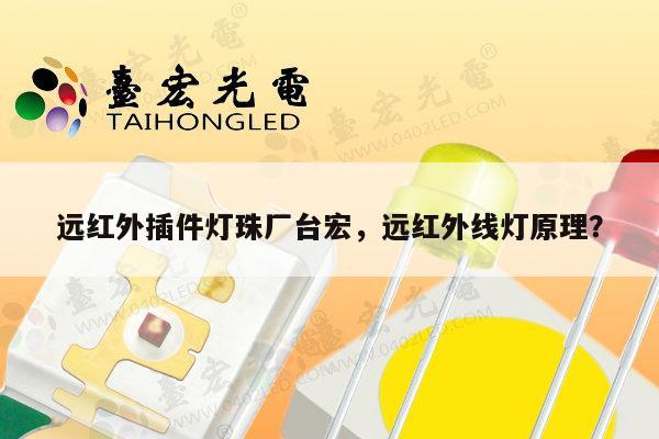 远红外插件灯珠厂台宏，远红外线灯原理？-第1张图片-led灯珠, 贴片led灯珠, 直插led灯珠, 大功率灯珠, 3528灯珠, led灯珠厂家广东台宏光电科技有限公司 服务热线400-689-8189