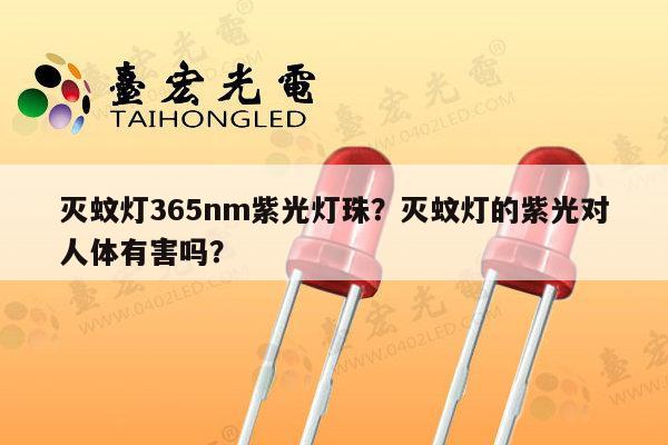 灭蚊灯365nm紫光灯珠？灭蚊灯的紫光对人体有害吗？-第1张图片-led灯珠, 贴片led灯珠, 直插led灯珠, 大功率灯珠, 3528灯珠, led灯珠厂家广东台宏光电科技有限公司 服务热线400-689-8189