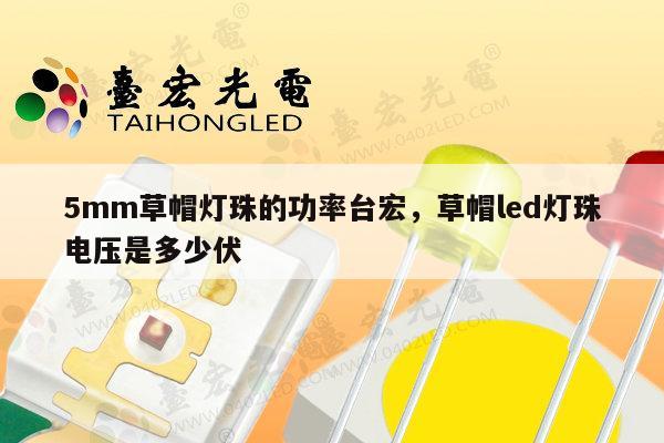 5mm草帽灯珠的功率台宏,草帽led灯珠电压是多少伏-第1张图片-led灯珠, 贴片led灯珠, 直插led灯珠, 大功率灯珠, 3528灯珠, led灯珠厂家广东台宏光电科技有限公司 服务热线400-689-8189 5mm草帽灯珠的功率台宏,草帽led灯珠电压是多少伏-第1张图片-led灯珠, 贴片led灯珠, 直插led灯珠, 大功率灯珠, 3528灯珠, led灯珠厂家广东台宏光电科技有限公司 服务热线400-689-8189