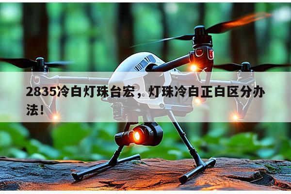 2835冷白灯珠台宏，灯珠冷白正白区分办法！-第1张图片-led灯珠, 贴片led灯珠, 直插led灯珠, 大功率灯珠, 3528灯珠, led灯珠厂家广东台宏光电科技有限公司 服务热线400-689-8189