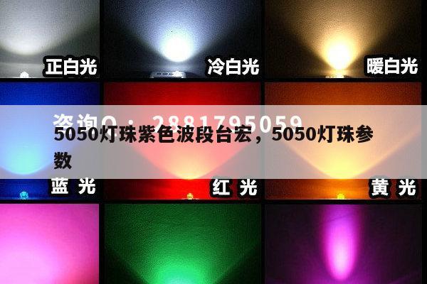 5050灯珠紫色波段台宏，5050灯珠参数-第1张图片-led灯珠, 贴片led灯珠, 直插led灯珠, 大功率灯珠, 3528灯珠, led灯珠厂家广东台宏光电科技有限公司 服务热线400-689-8189
