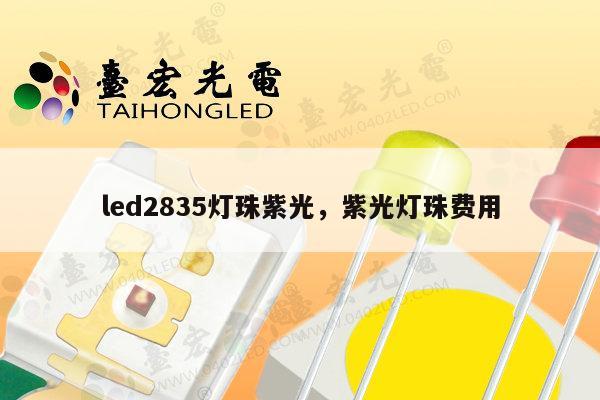 led2835灯珠紫光,紫光灯珠费用-第1张图片-led灯珠, 贴片led灯珠, 直插led灯珠, 大功率灯珠, 3528灯珠, led灯珠厂家广东台宏光电科技有限公司 服务热线400-689-8189 led2835灯珠紫光,紫光灯珠费用-第1张图片-led灯珠, 贴片led灯珠, 直插led灯珠, 大功率灯珠, 3528灯珠, led灯珠厂家广东台宏光电科技有限公司 服务热线400-689-8189