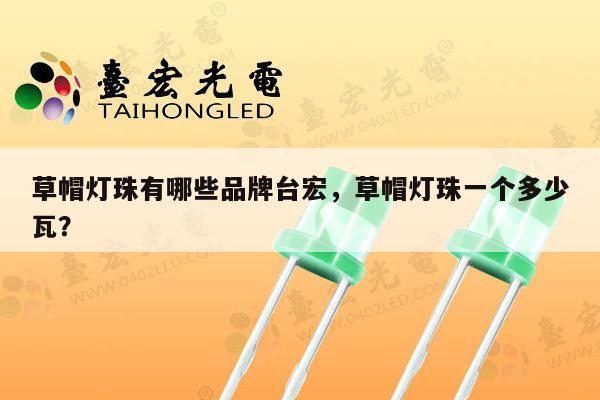 草帽灯珠有哪些品牌台宏,草帽灯珠一个多少瓦?-第1张图片-led灯珠, 贴片led灯珠, 直插led灯珠, 大功率灯珠, 3528灯珠, led灯珠厂家广东台宏光电科技有限公司 服务热线400-689-8189 草帽灯珠有哪些品牌台宏,草帽灯珠一个多少瓦?-第1张图片-led灯珠, 贴片led灯珠, 直插led灯珠, 大功率灯珠, 3528灯珠, led灯珠厂家广东台宏光电科技有限公司 服务热线400-689-8189