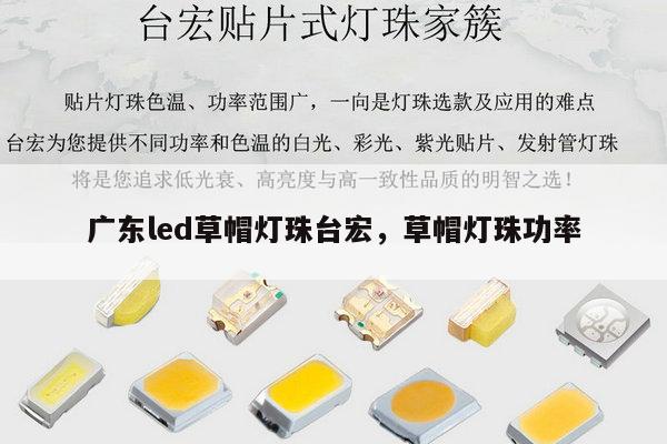 广东led草帽灯珠台宏，草帽灯珠功率-第1张图片-led灯珠, 贴片led灯珠, 直插led灯珠, 大功率灯珠, 3528灯珠, led灯珠厂家广东台宏光电科技有限公司 服务热线400-689-8189
