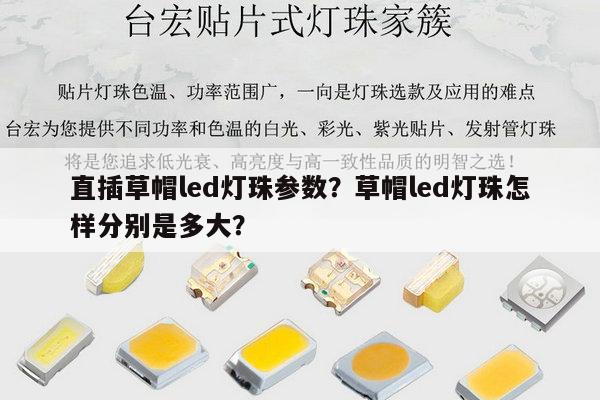 直插草帽led灯珠参数？草帽led灯珠怎样分别是多大？-第1张图片-led灯珠, 贴片led灯珠, 直插led灯珠, 大功率灯珠, 3528灯珠, led灯珠厂家广东台宏光电科技有限公司 服务热线400-689-8189