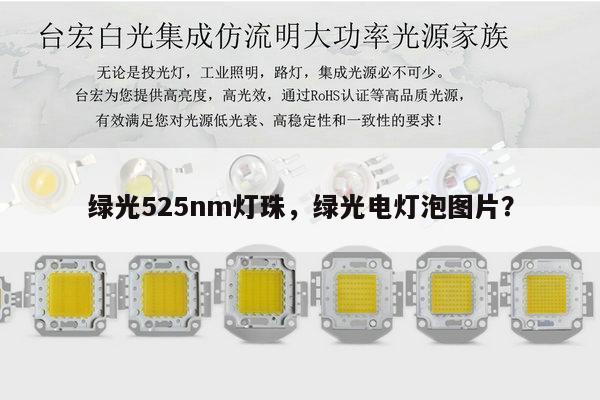 绿光525nm灯珠,绿光电灯泡图片?-第1张图片-led灯珠, 贴片led灯珠, 直插led灯珠, 大功率灯珠, 3528灯珠, led灯珠厂家广东台宏光电科技有限公司 服务热线400-689-8189 绿光525nm灯珠,绿光电灯泡图片?-第1张图片-led灯珠, 贴片led灯珠, 直插led灯珠, 大功率灯珠, 3528灯珠, led灯珠厂家广东台宏光电科技有限公司 服务热线400-689-8189