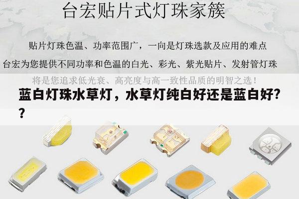 蓝白灯珠水草灯，水草灯纯白好还是蓝白好?？-第1张图片-led灯珠, 贴片led灯珠, 直插led灯珠, 大功率灯珠, 3528灯珠, led灯珠厂家广东台宏光电科技有限公司 服务热线400-689-8189