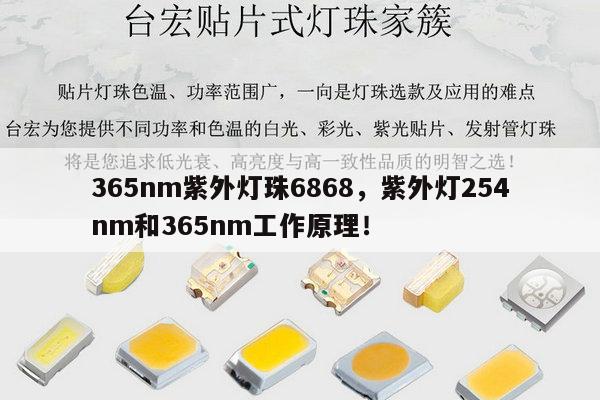 365nm紫外灯珠6868,紫外灯254nm和365nm工作原理!-第1张图片-led灯珠, 贴片led灯珠, 直插led灯珠, 大功率灯珠, 3528灯珠, led灯珠厂家广东台宏光电科技有限公司 服务热线400-689-8189 365nm紫外灯珠6868,紫外灯254nm和365nm工作原理!-第1张图片-led灯珠, 贴片led灯珠, 直插led灯珠, 大功率灯珠, 3528灯珠, led灯珠厂家广东台宏光电科技有限公司 服务热线400-689-8189