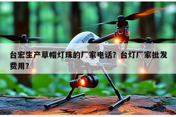 台宏生产草帽灯珠的厂家电话？台灯厂家批发费用？-第1张图片-led灯珠, 贴片led灯珠, 直插led灯珠, 大功率灯珠, 3528灯珠, led灯珠厂家广东台宏光电科技有限公司 服务热线400-689-8189