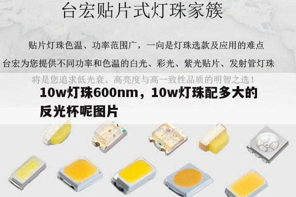 10w灯珠600nm,10w灯珠配多大的反光杯呢图片-第1张图片-led灯珠, 贴片led灯珠, 直插led灯珠, 大功率灯珠, 3528灯珠, led灯珠厂家广东台宏光电科技有限公司 服务热线400-689-8189 10w灯珠600nm,10w灯珠配多大的反光杯呢图片-第1张图片-led灯珠, 贴片led灯珠, 直插led灯珠, 大功率灯珠, 3528灯珠, led灯珠厂家广东台宏光电科技有限公司 服务热线400-689-8189