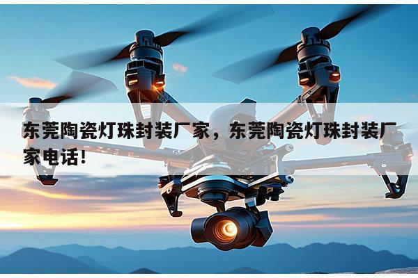 东莞陶瓷灯珠封装厂家，东莞陶瓷灯珠封装厂家电话！-第1张图片-led灯珠, 贴片led灯珠, 直插led灯珠, 大功率灯珠, 3528灯珠, led灯珠厂家广东台宏光电科技有限公司 服务热线400-689-8189