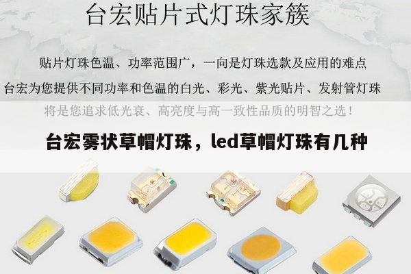 台宏雾状草帽灯珠，led草帽灯珠有几种-第1张图片-led灯珠, 贴片led灯珠, 直插led灯珠, 大功率灯珠, 3528灯珠, led灯珠厂家广东台宏光电科技有限公司 服务热线400-689-8189