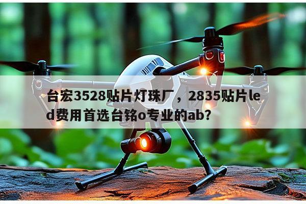 台宏3528贴片灯珠厂，2835贴片led费用首选台铭o专业的ab？-第1张图片-led灯珠, 贴片led灯珠, 直插led灯珠, 大功率灯珠, 3528灯珠, led灯珠厂家广东台宏光电科技有限公司 服务热线400-689-8189