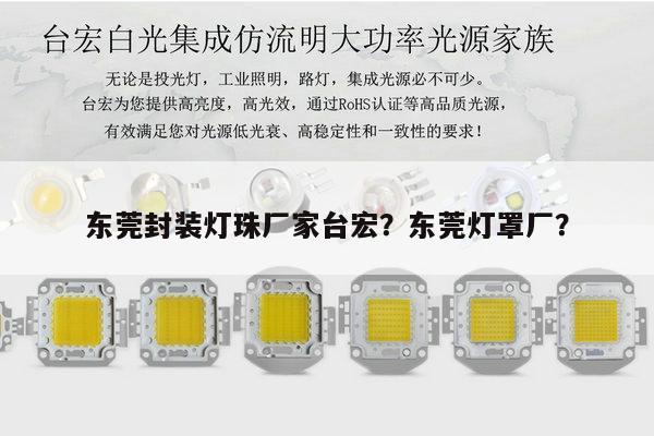 东莞封装灯珠厂家台宏？东莞灯罩厂？-第1张图片-led灯珠, 贴片led灯珠, 直插led灯珠, 大功率灯珠, 3528灯珠, led灯珠厂家广东台宏光电科技有限公司 服务热线400-689-8189
